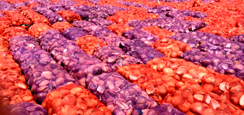 copra in plastic mesh bags readu to load