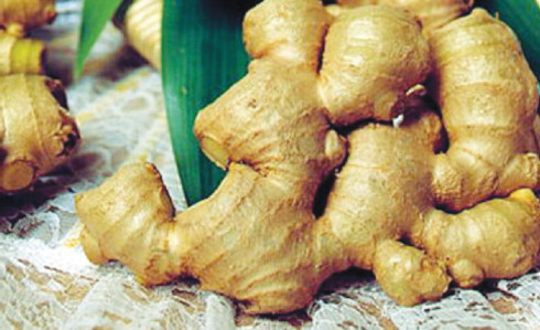 Fresh ginger chunk
